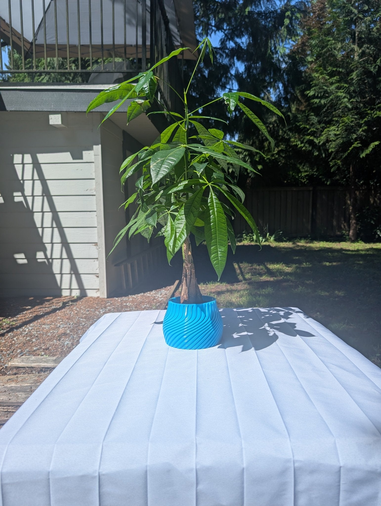 Medium Striped Twisted Plant Pot - A&V Plants 3D Printing