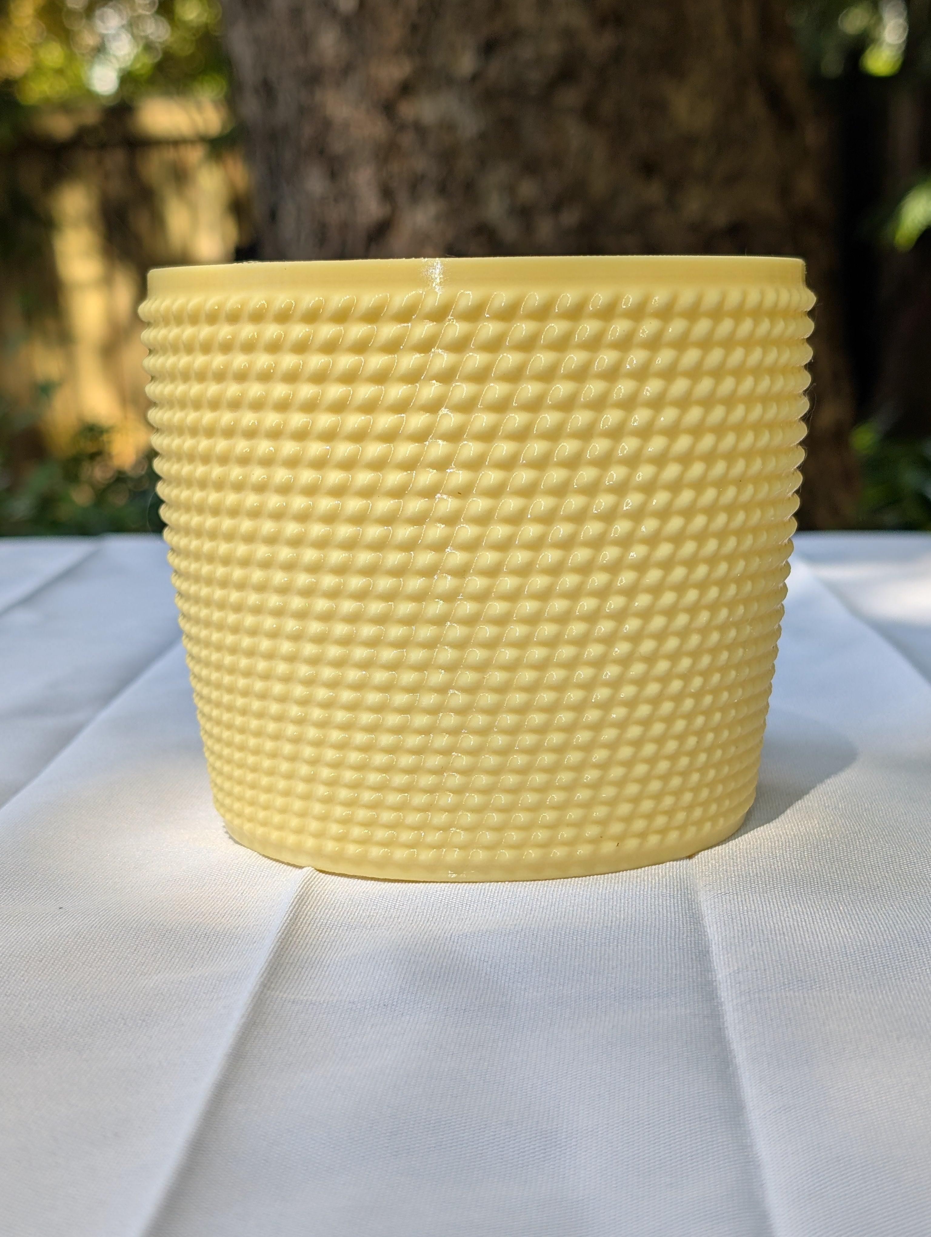 Medium Studded Textured Plant Pot