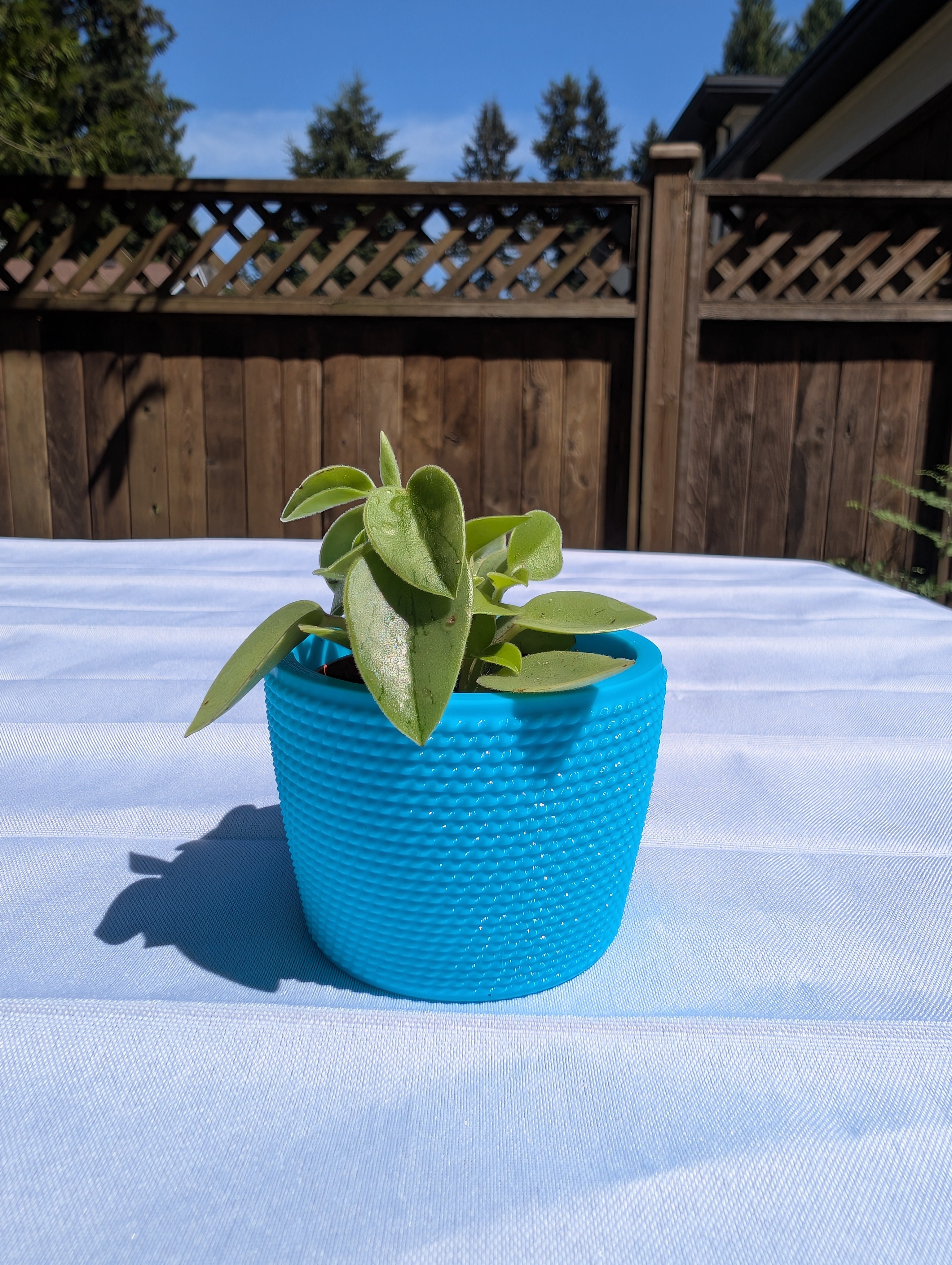 Small Studded Textured Plant Pot