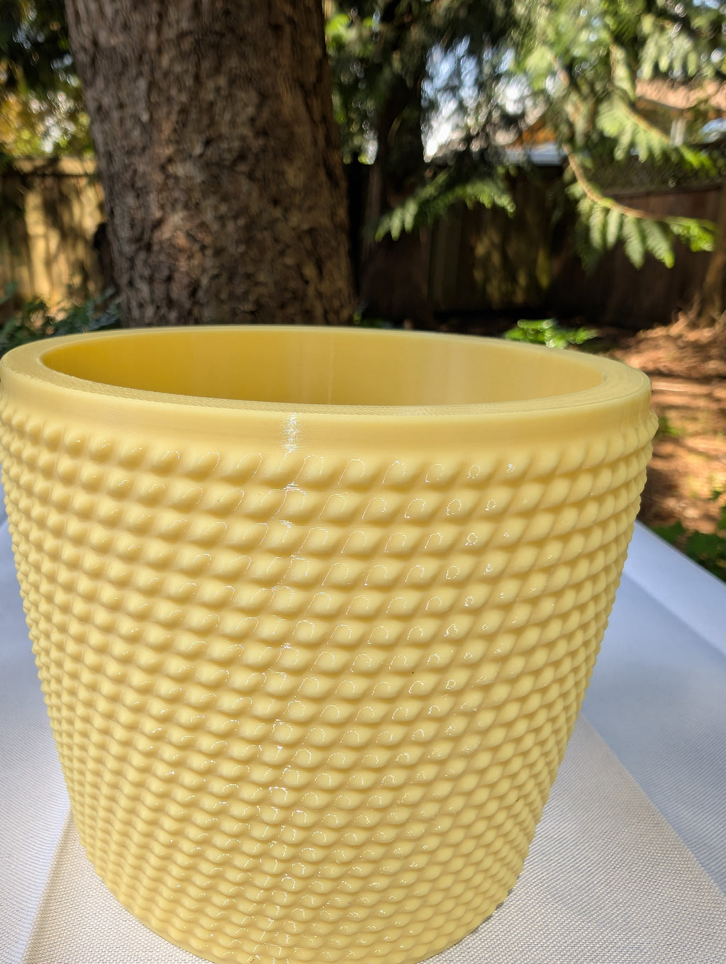 Medium Studded Textured Plant Pot