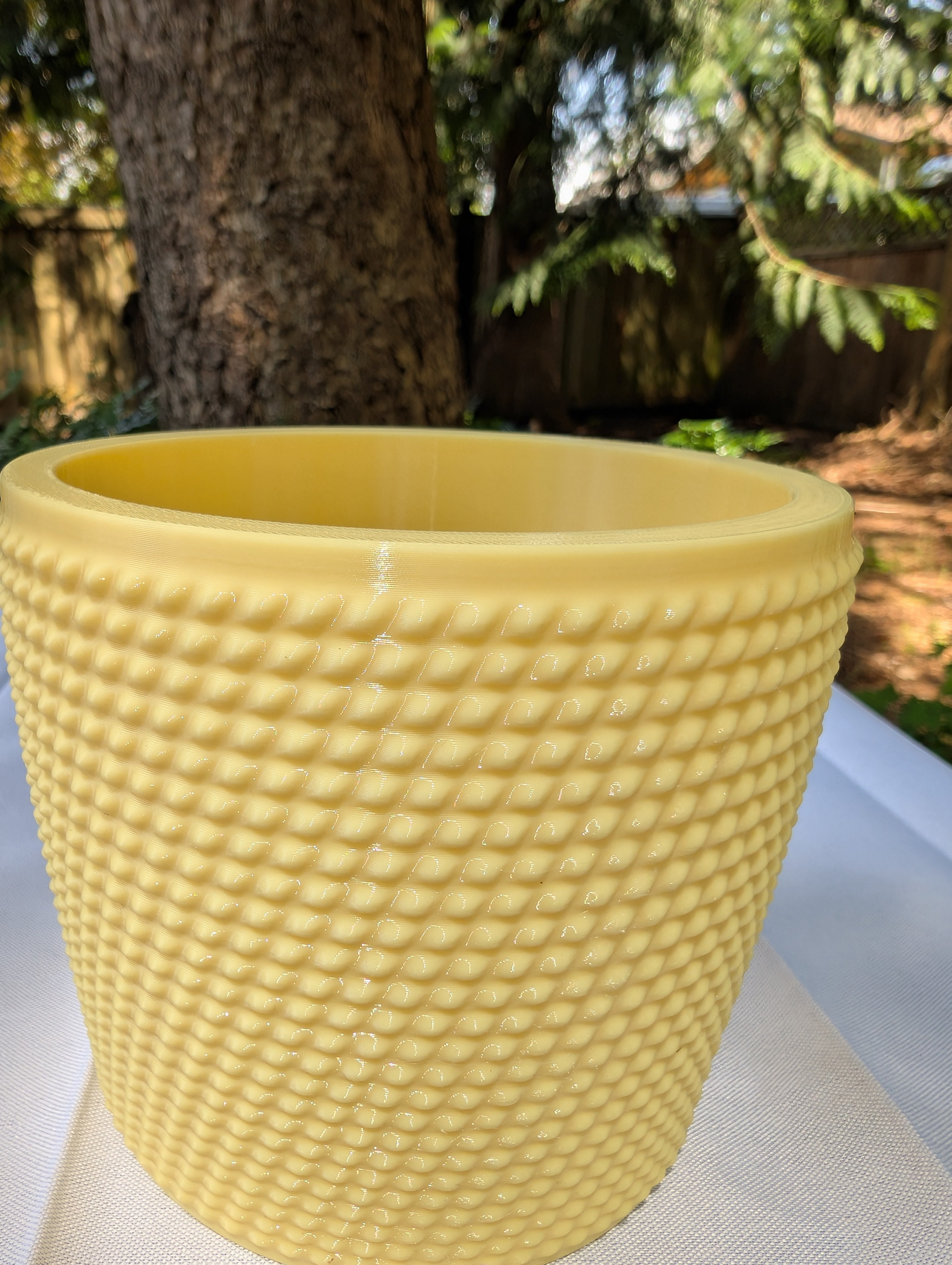 Medium Studded Textured Plant Pot