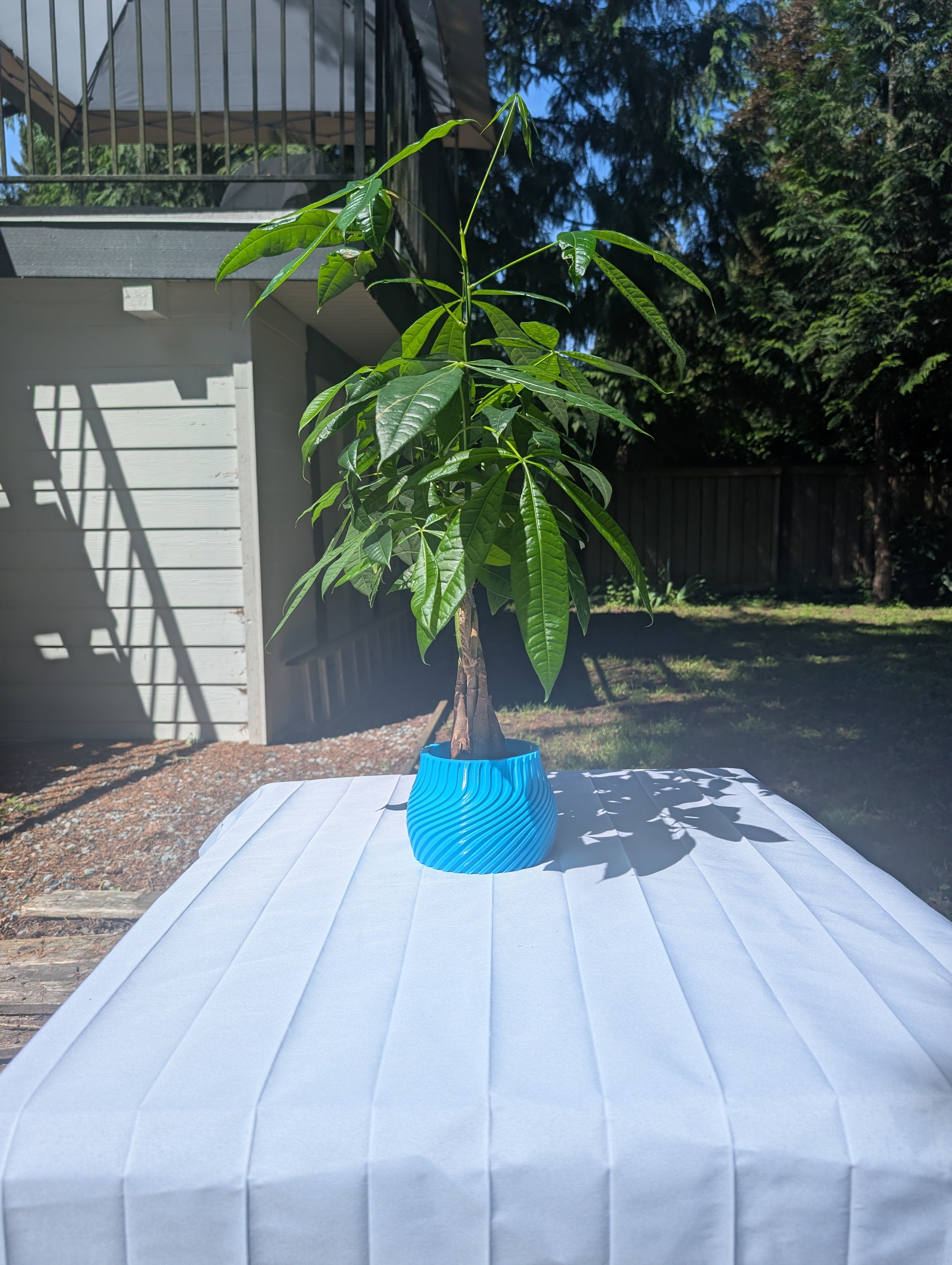 Medium Striped Twisted Pot