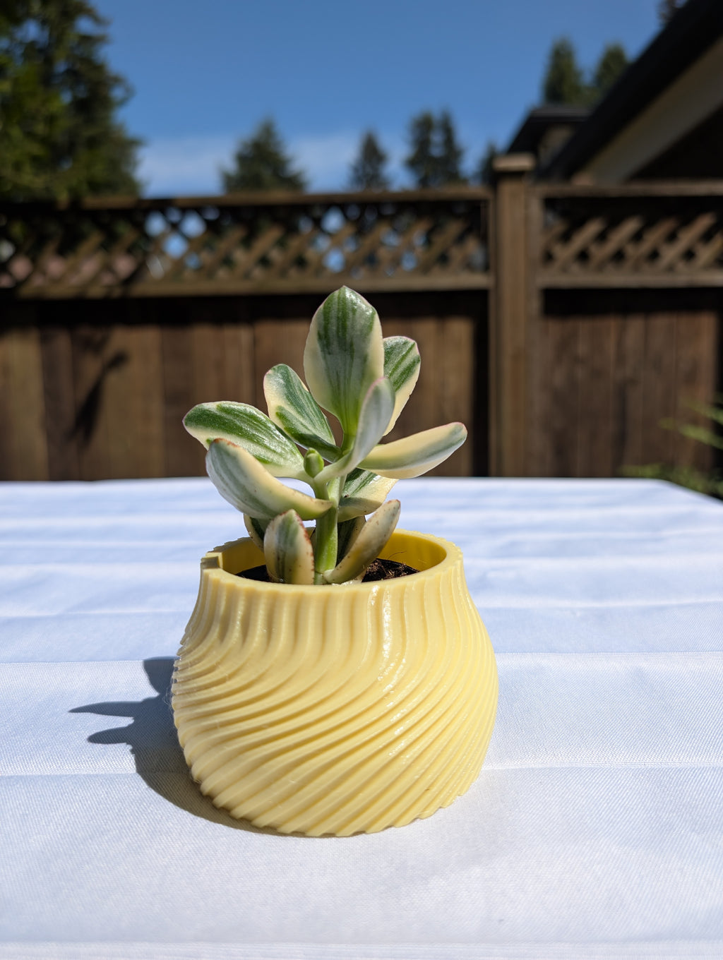 Small Striped Twisted Pot